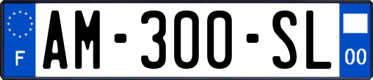 AM-300-SL
