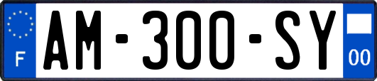 AM-300-SY