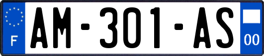 AM-301-AS