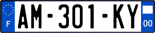 AM-301-KY