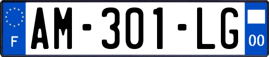 AM-301-LG