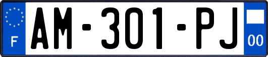 AM-301-PJ