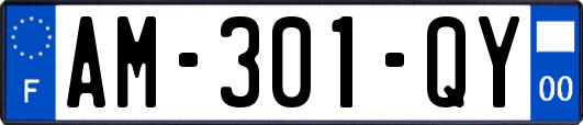 AM-301-QY