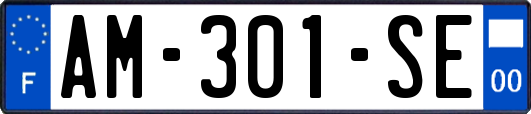 AM-301-SE