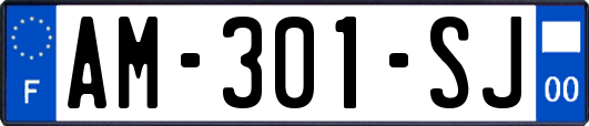 AM-301-SJ