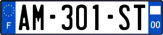 AM-301-ST