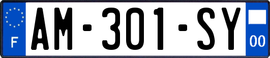 AM-301-SY