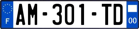 AM-301-TD