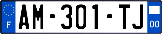 AM-301-TJ
