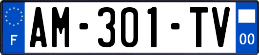 AM-301-TV