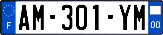 AM-301-YM