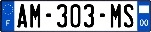 AM-303-MS