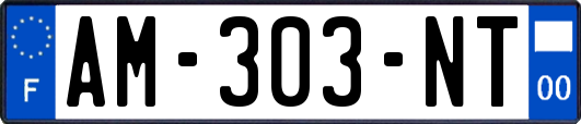 AM-303-NT