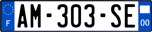 AM-303-SE