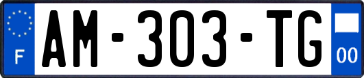 AM-303-TG