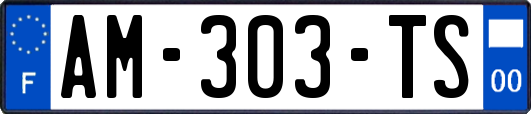 AM-303-TS