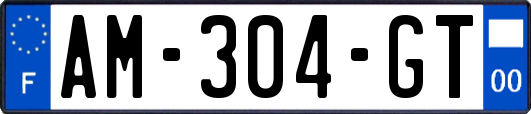 AM-304-GT