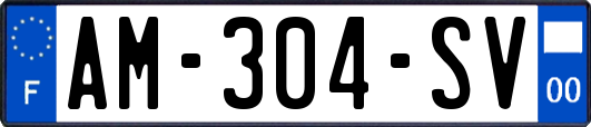 AM-304-SV