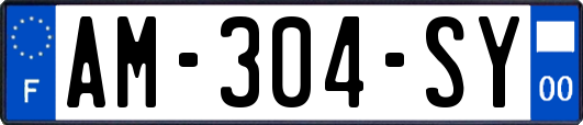 AM-304-SY