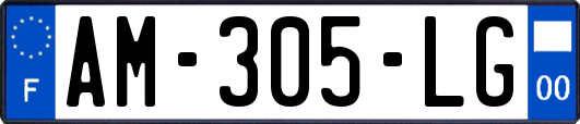AM-305-LG