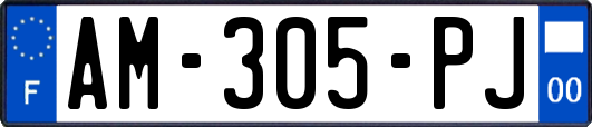 AM-305-PJ