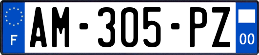 AM-305-PZ