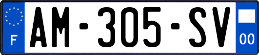 AM-305-SV