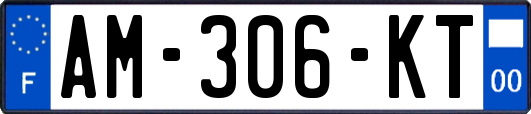 AM-306-KT
