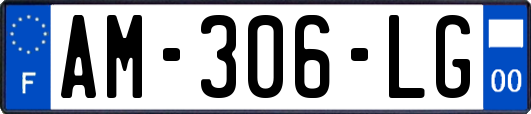 AM-306-LG