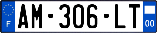 AM-306-LT