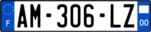 AM-306-LZ