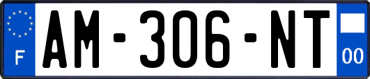 AM-306-NT