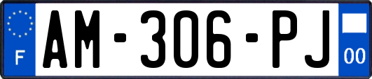 AM-306-PJ