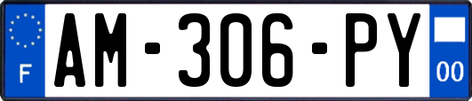 AM-306-PY