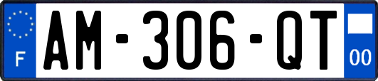AM-306-QT