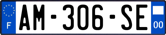 AM-306-SE