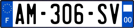 AM-306-SV