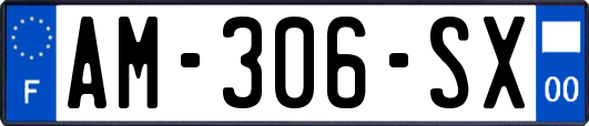 AM-306-SX