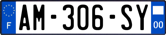 AM-306-SY