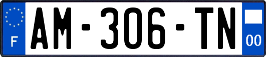 AM-306-TN