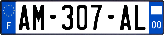 AM-307-AL