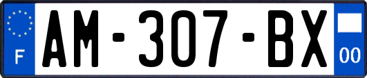 AM-307-BX