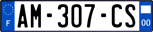 AM-307-CS