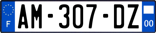 AM-307-DZ