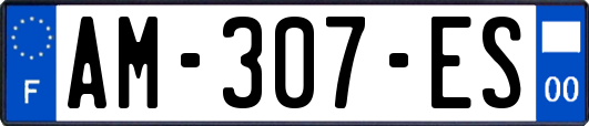 AM-307-ES