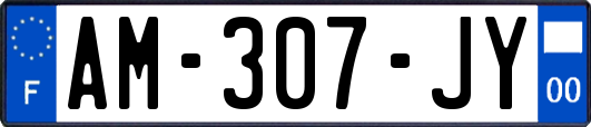 AM-307-JY