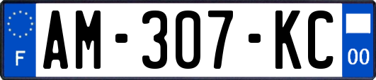 AM-307-KC