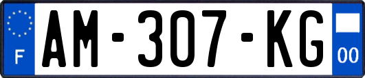 AM-307-KG