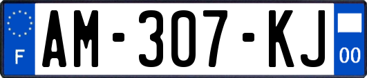 AM-307-KJ