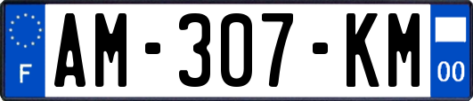 AM-307-KM